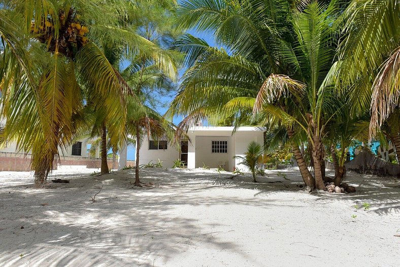 PLAYA Picheta Telchac Beach Front